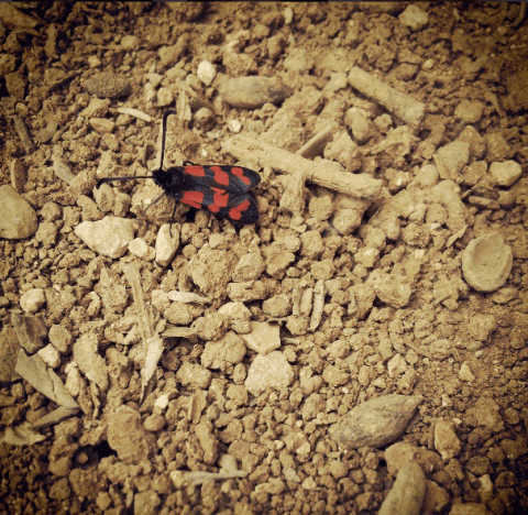 Photo by Jen Maidenberg